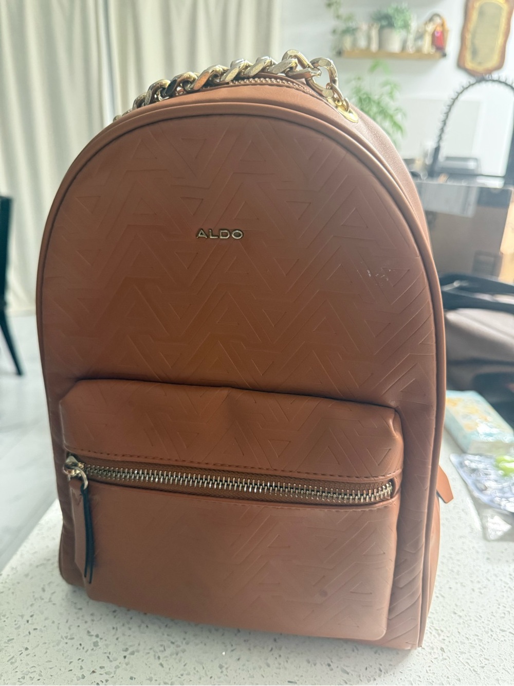 ALDO Tan Faux Leather Men’s Backpack with Gold Hardware